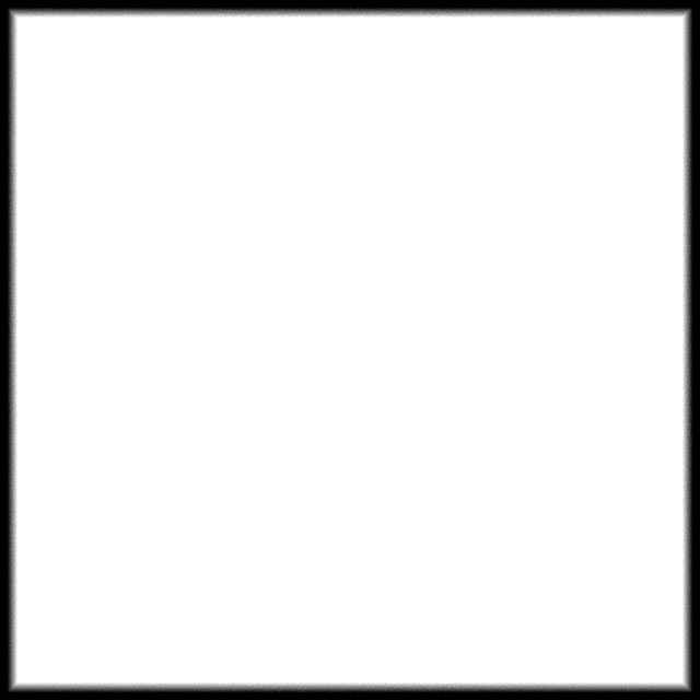 decal_alpha_desenfoque1.jpg