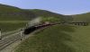 063 - Steam on the Sierra - Via Ancha.jpg