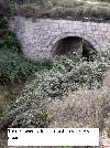 TUNEL