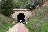TUNEL