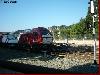Locomotora 335