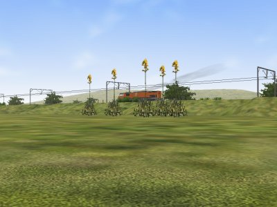 Train-Sim