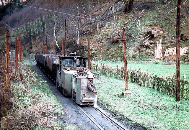 Cerezal.jpg (139.46 KiB) Visto 15102 veces Cerezal.jpg